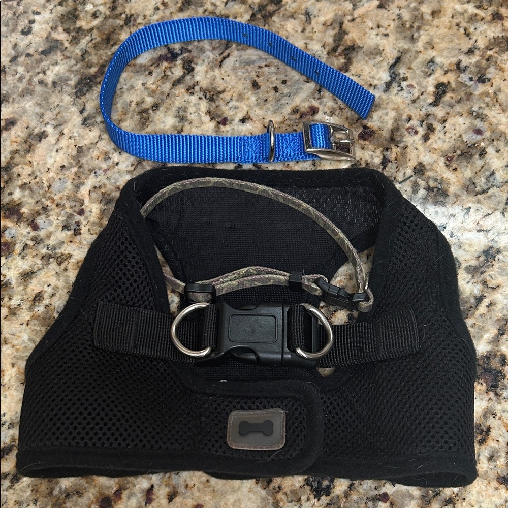 Black Mesh Dog Harness with Blue & Camouflage Leash